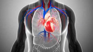 US doctors warn of ‘silent killer’ heart condition affecting millions; symptoms and risk factors