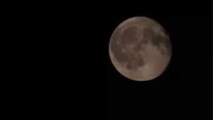 Seasonal 'Black Moon' Graced the Skies: Unveiling the Celestial Event and Its Significance
