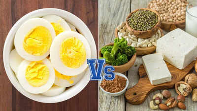 High-protein vegetarian options for a balanced diet