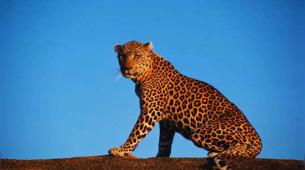 Kabini Wildlife Sanctuary, Karnataka