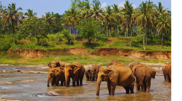 Colombo, Sri Lanka (+120%)