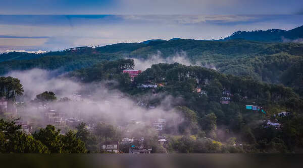 Shillong, India (+828%)