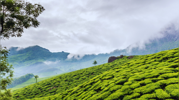 Kalimpong, West Bengal
