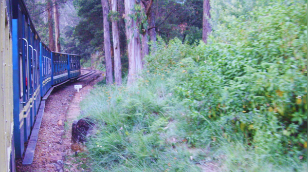 Ooty, Tamil Nadu