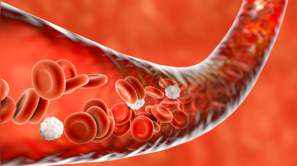 Improves circulation of blood around the body