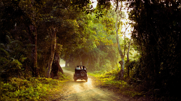 Satpura Tiger Reserve, Madhya Pradesh