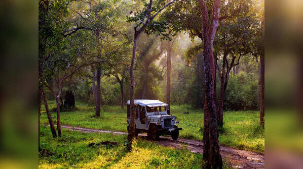 Nagarhole Tiger Reserve, Karnataka
