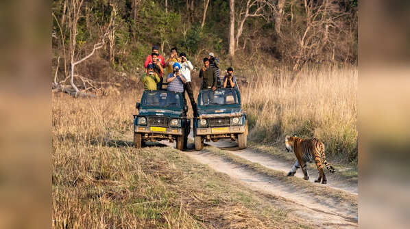 Jim Corbett Tiger Reserve, Uttarakhand