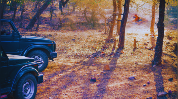 Ranthambore Tiger Reserve, Rajasthan
