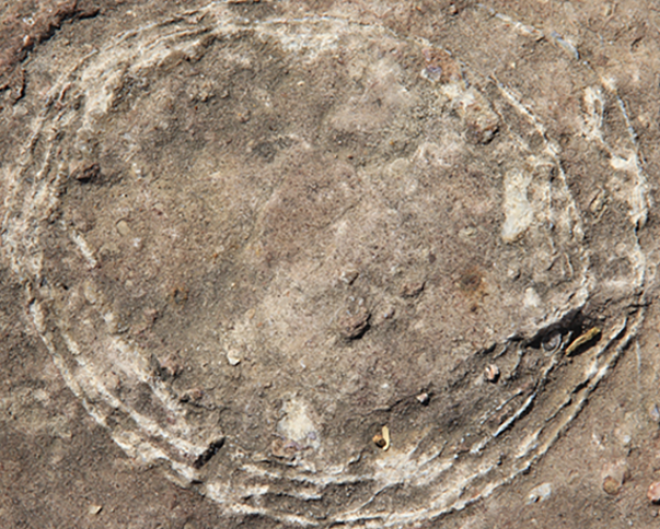 Fossilised dinosaur egg (Photo: PLOS.one study)